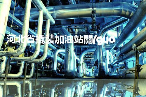 河北省撬裝加油站關(guān)鍵技術(shù)突破！化工廠拆除工程的新方法探索？